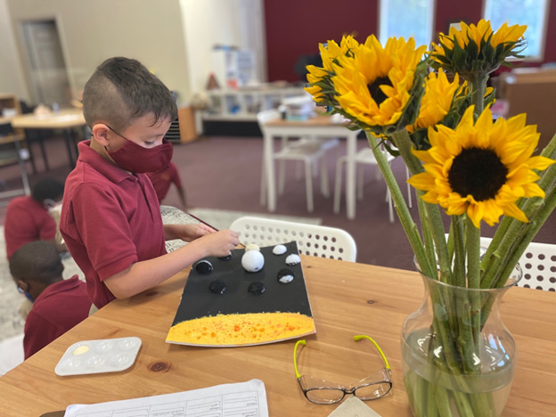 Montessori Village International