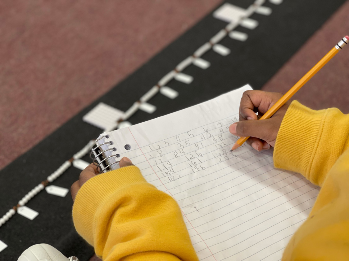 Montessori Village International