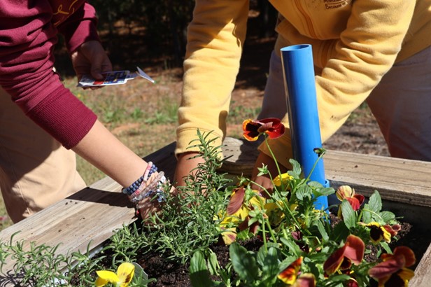 Montessori Village International